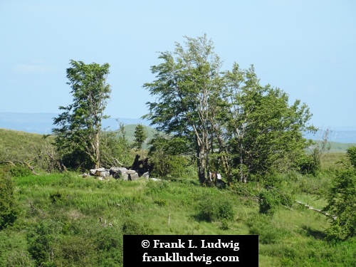 Cavan Burren